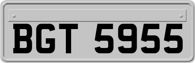 BGT5955