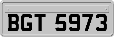 BGT5973