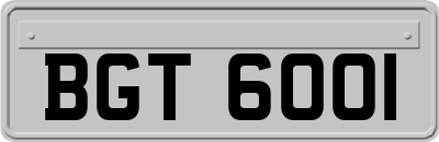 BGT6001