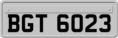 BGT6023