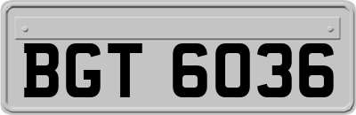 BGT6036