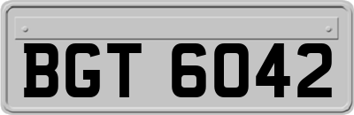BGT6042