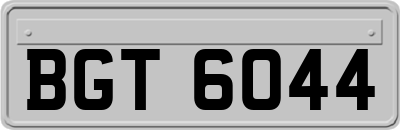 BGT6044