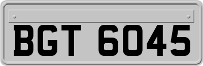 BGT6045