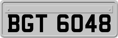 BGT6048