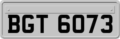 BGT6073