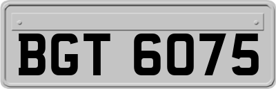 BGT6075