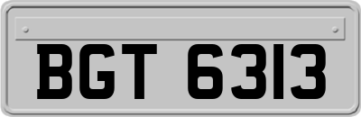 BGT6313