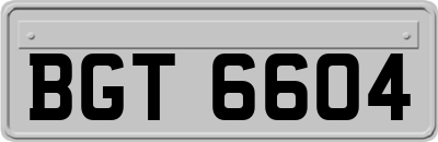 BGT6604