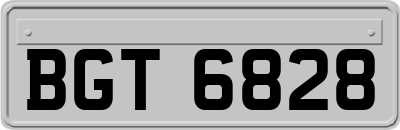 BGT6828