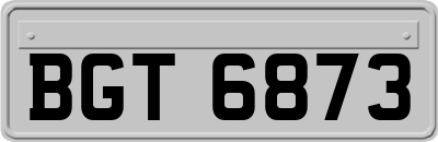 BGT6873