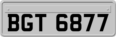 BGT6877