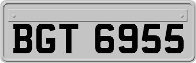 BGT6955