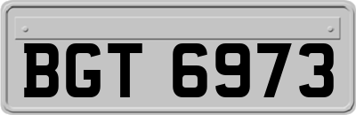 BGT6973