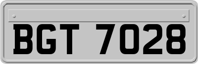 BGT7028