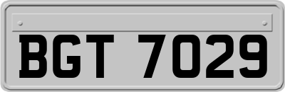 BGT7029
