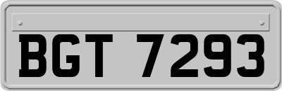 BGT7293
