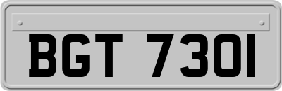 BGT7301