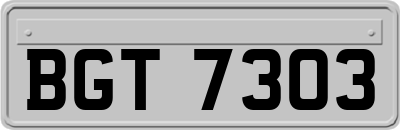 BGT7303