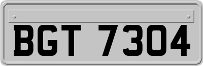 BGT7304