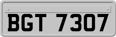 BGT7307