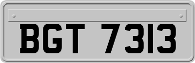 BGT7313