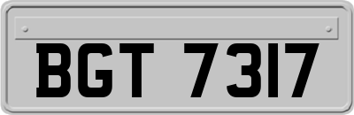 BGT7317