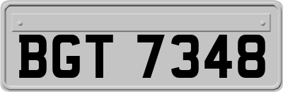 BGT7348