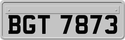 BGT7873