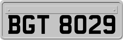 BGT8029