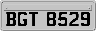 BGT8529