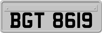 BGT8619