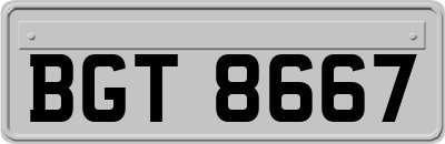 BGT8667