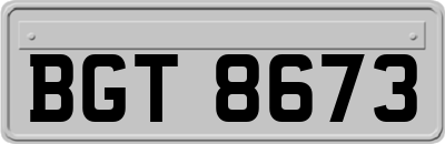 BGT8673