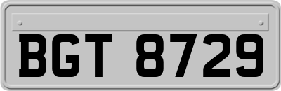 BGT8729
