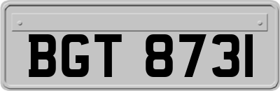 BGT8731