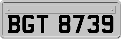 BGT8739