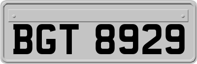 BGT8929