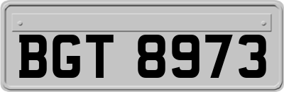 BGT8973