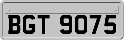 BGT9075