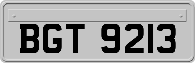 BGT9213