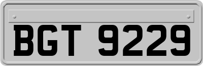 BGT9229