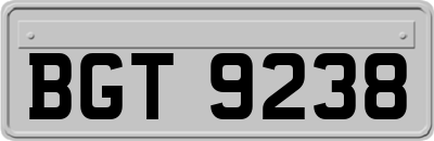 BGT9238