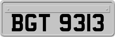 BGT9313