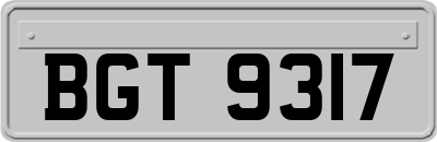 BGT9317