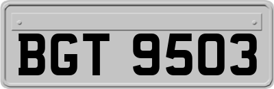 BGT9503