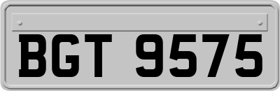 BGT9575
