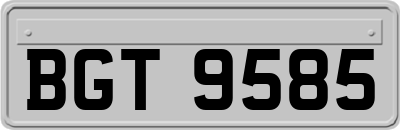 BGT9585