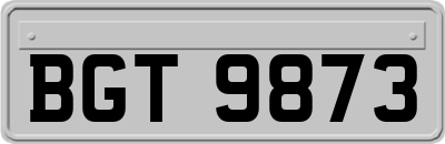 BGT9873