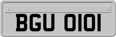 BGU0101